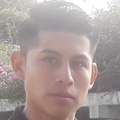 Julio Chavez Profile