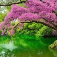 DebbeLiaka11748's profile picture. 