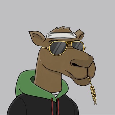 RyanSol42 Profile Picture