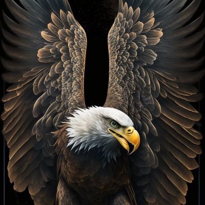 AsysShreas2's profile picture. Just another lad looking out for himself