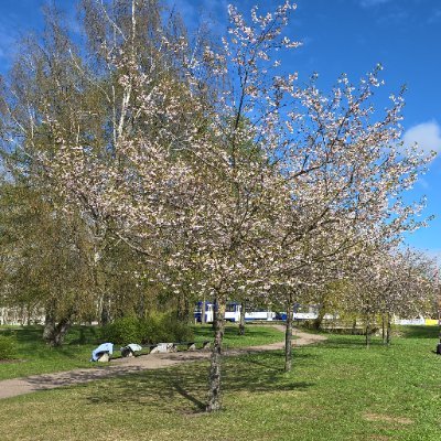 ErtMerty's profile picture. 