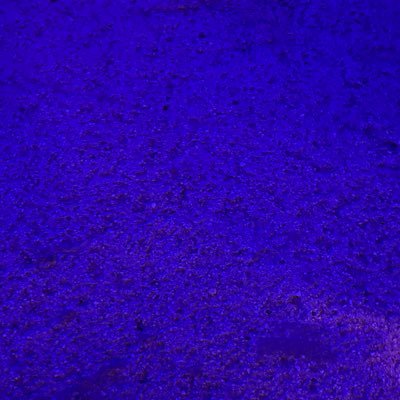 user59227361645's profile picture. 