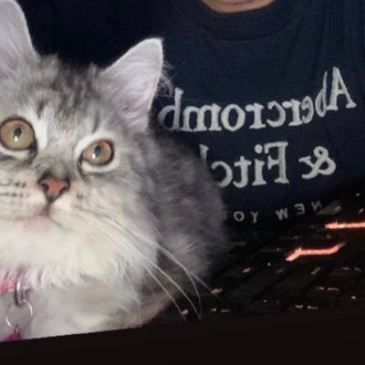 RMNSHZL's profile picture. 