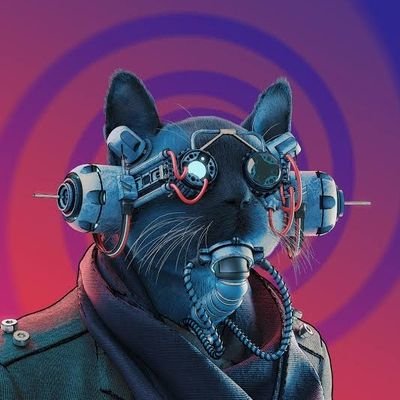 Aspiring web developer | Crypto Enthusiast 3JHPHTBG