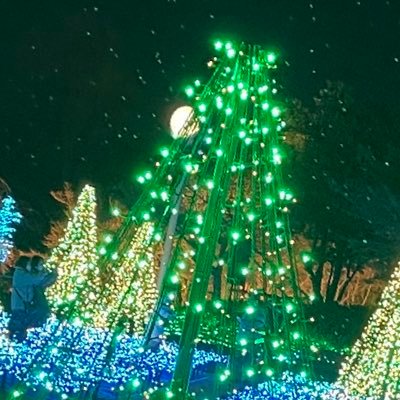 Fe0811308793320's profile picture. 