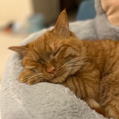 alex1191101's profile picture. 