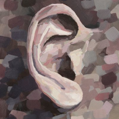 The incomparable shape of the human ear