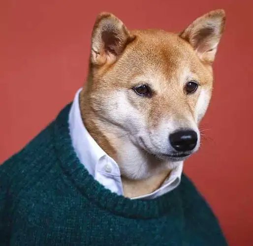 Cynthia35031's profile picture. 