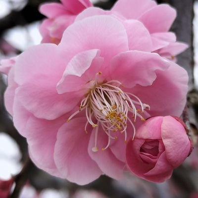 fukukei0602's profile picture. 毎日楽しい(*^^*)
仮想通貨勉強中♪