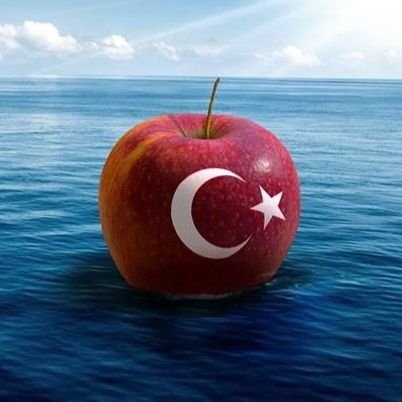 Türk'ün gönlüne Türklük sevgisini koy.
Onun ile yaşasın dirlik bulsun millet ile soy.