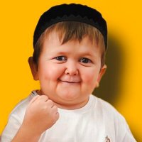 Hasbulla (@hasbulla_on_sol) 's Twitter Profile