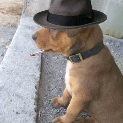 Twitter arcos es una mafia pero todavia no estáis preparados para esta conversación