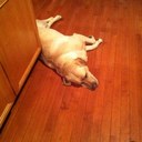 Jeff Kenny - @bozkenny - Twitter