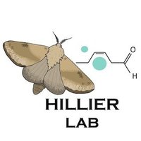 Hillier Lab (@hillierlab) 's Twitter Profile