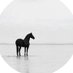 أسماء ☤ (@asma_alshihri) Twitter profile photo أسماء ☤ (@asma_alshihri) Twitter profile photo