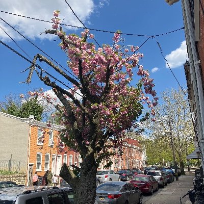 AminaMujah14646's profile picture. 