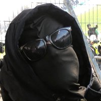 P (@pgren11433) 's Twitter Profile Photo