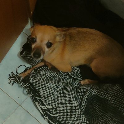 massy7419's profile picture. 