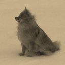 James MacAdam - @JamesMacAdam - Twitter