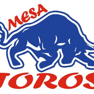 Mesa Toro Football