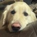 ProudMom3 (@proudmom313) Twitter profile photo