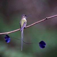 Live & Let Live (@rnsm10540711) 's Twitter Profile