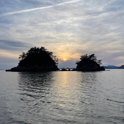 freemansky's profile picture. 자유롭고싶어 ....!!! 던,인연,책임,일,시선,머리,말,어너,느낌,몸, 등등등 벗어버리면 자유로울까~~!!!
느리게 살고 싶은데 여전히 씽씽 거리며 달리고 있는 나 ^)^;;;