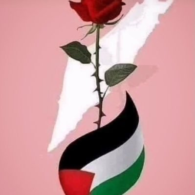 je suis pro 🇵🇸 pr 1 état 🇵🇸 et tt les pays arabes du moyen orient je suis contre les fachos de toutes ethnies soutient total à l iran né en 🇺🇸 vis en 🇫🇷