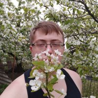 Tyryo (@nolofing2tyryo) 's Twitter Profile