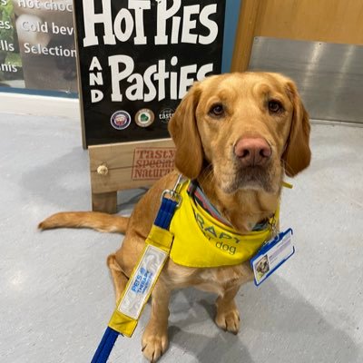 Eric Pets as Therapy Dog Profile