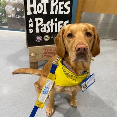 Eric Pets as Therapy Dog