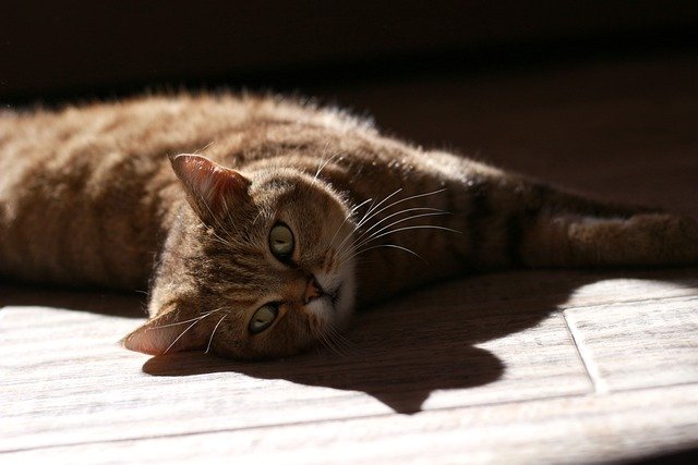 Mdsamaun20's profile picture. 