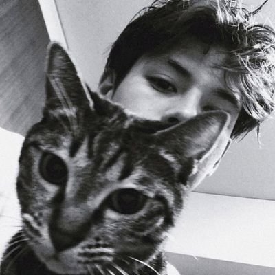 intersection195's profile picture. 