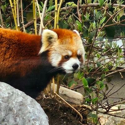 👻さんのプロフィール画像