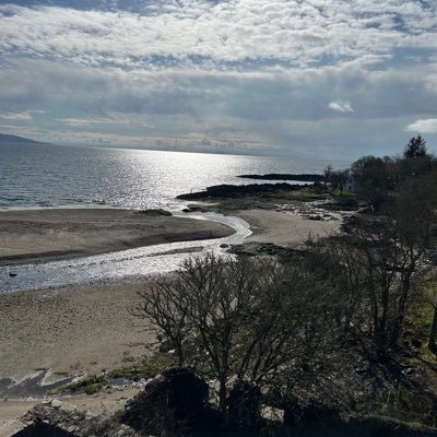 cameronblack3's profile picture. Heart of Midlothian