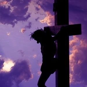 IndLadyOne's profile picture. God🙏Family👨‍👩‍👧‍ Country🇺🇸
Proud Patriot💯
AMERICA 1st #MAGA

DM's or Webcams will be immediately blocked.