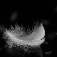 TaxinspecTr (@taxinspectr) Twitter profile photo