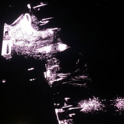 TarzWildTrainer's profile picture. ❌❌🗣️🗣️🦅🦅