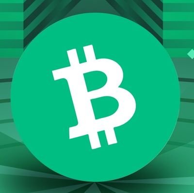BCH-Army Profile