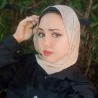 Norhan Ahmed (@nourhan01239) 's Twitter Profile