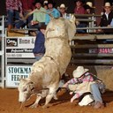 Casey Ballenger - @walkingccattle - Twitter