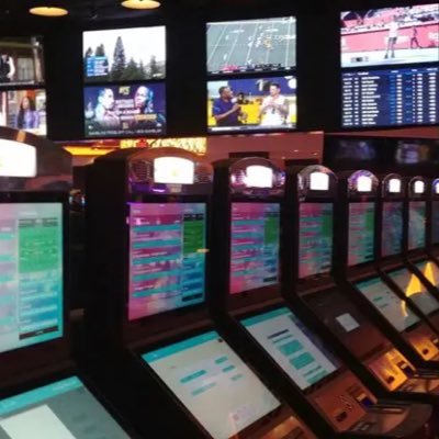 MinusEVBettor's profile picture. 