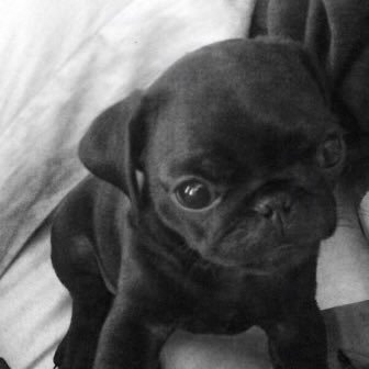 rioagor's profile picture. 