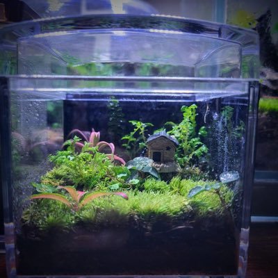 Nan0Flow's profile picture. Never Give Up :)
