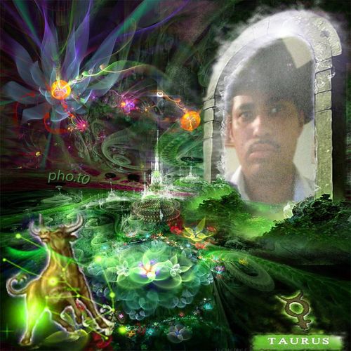 Ostomys's profile picture. 