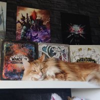 Buschi (@buschpilot901) 's Twitter Profile