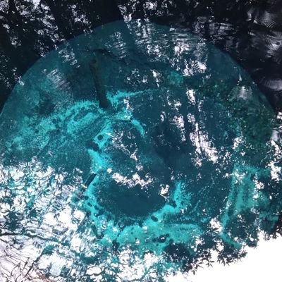 wQ91gSKBDf48643's profile picture. 