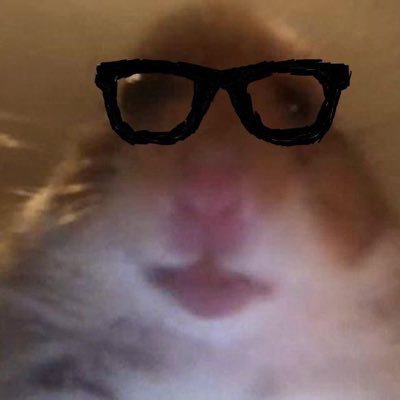 hami_coinsol's profile picture. cute hamster on web3