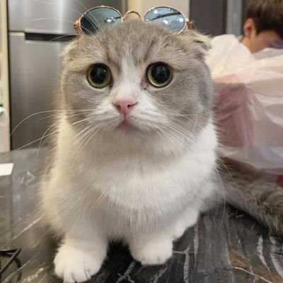 lovepluto16's profile picture. kristtps