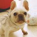 s.kumazawa🐕 (@lidlocks) Twitter profile photo s.kumazawa🐕 (@lidlocks) Twitter profile photo